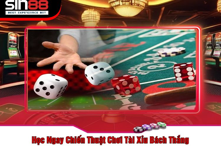 Học Ngay Chiến Thuật Chơi Tài Xỉu Bách Thắng